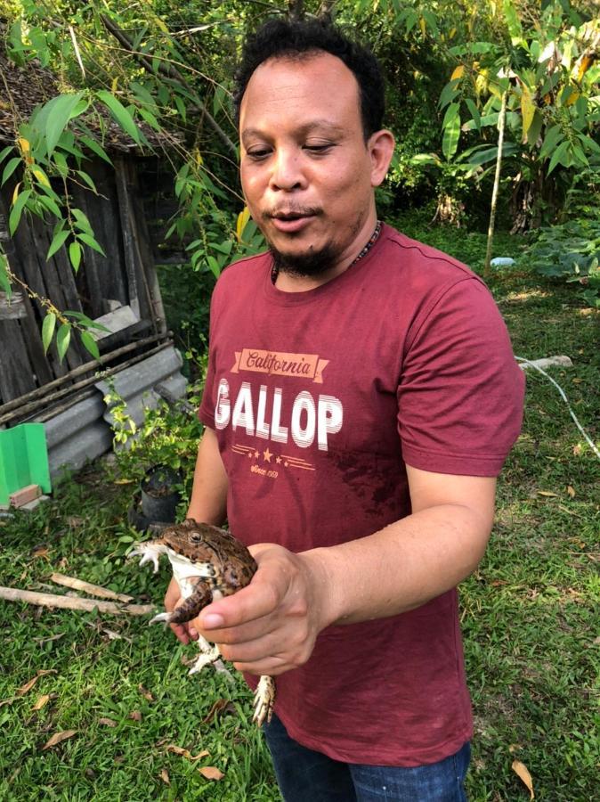 Meechok Organic Home Ao Nang Eksteriør bilde