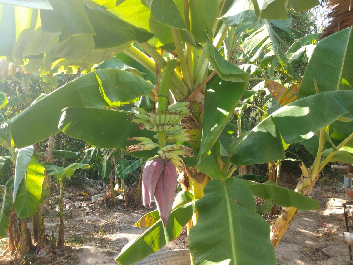 Meechok Organic Home Ao Nang Eksteriør bilde