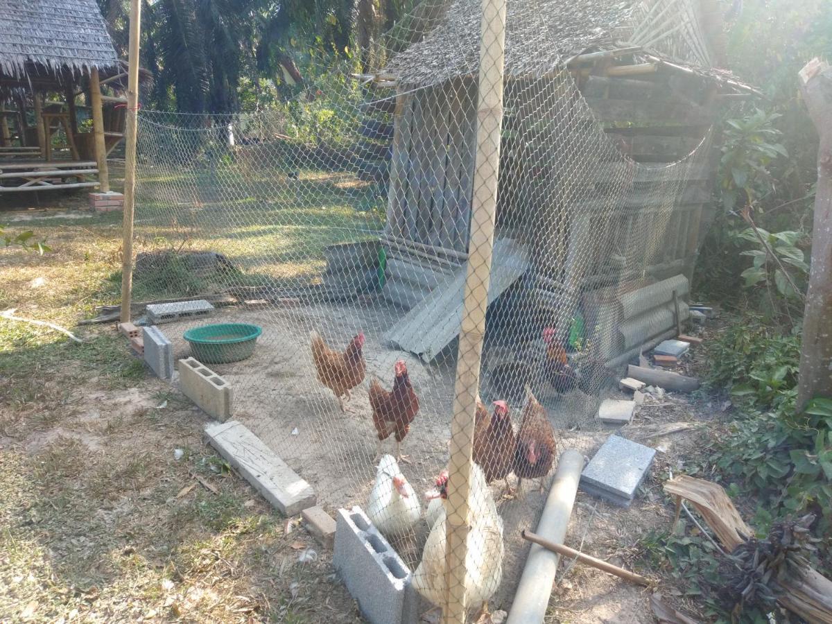 Meechok Organic Home Ao Nang Eksteriør bilde