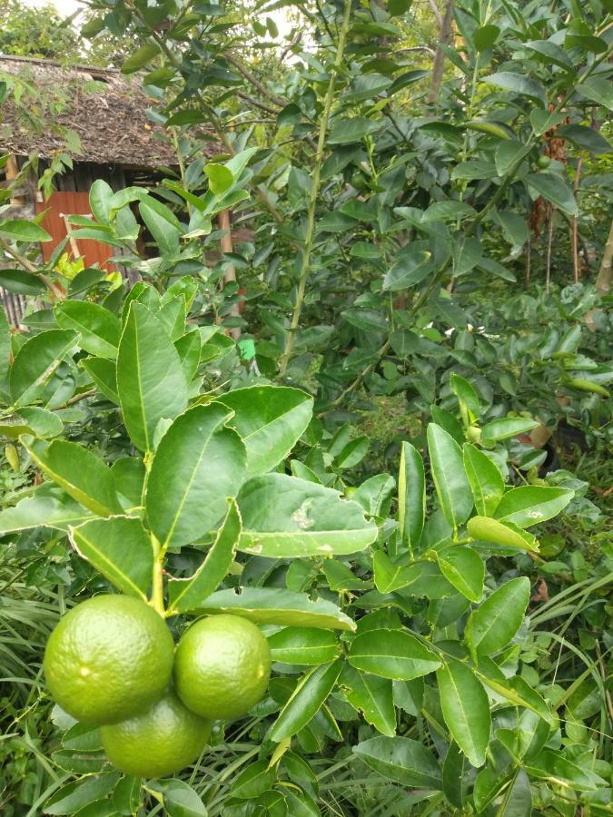 Meechok Organic Home Ao Nang Eksteriør bilde
